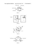 DNA ORIGAMI DEVICES diagram and image