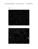 COATINGS AND CULTURE MEDIA FOR PROMOTING NEUROGENESIS IN ADIPOSE TISSUE     DERIVED STEM CELLS diagram and image