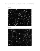 COATINGS AND CULTURE MEDIA FOR PROMOTING NEUROGENESIS IN ADIPOSE TISSUE     DERIVED STEM CELLS diagram and image