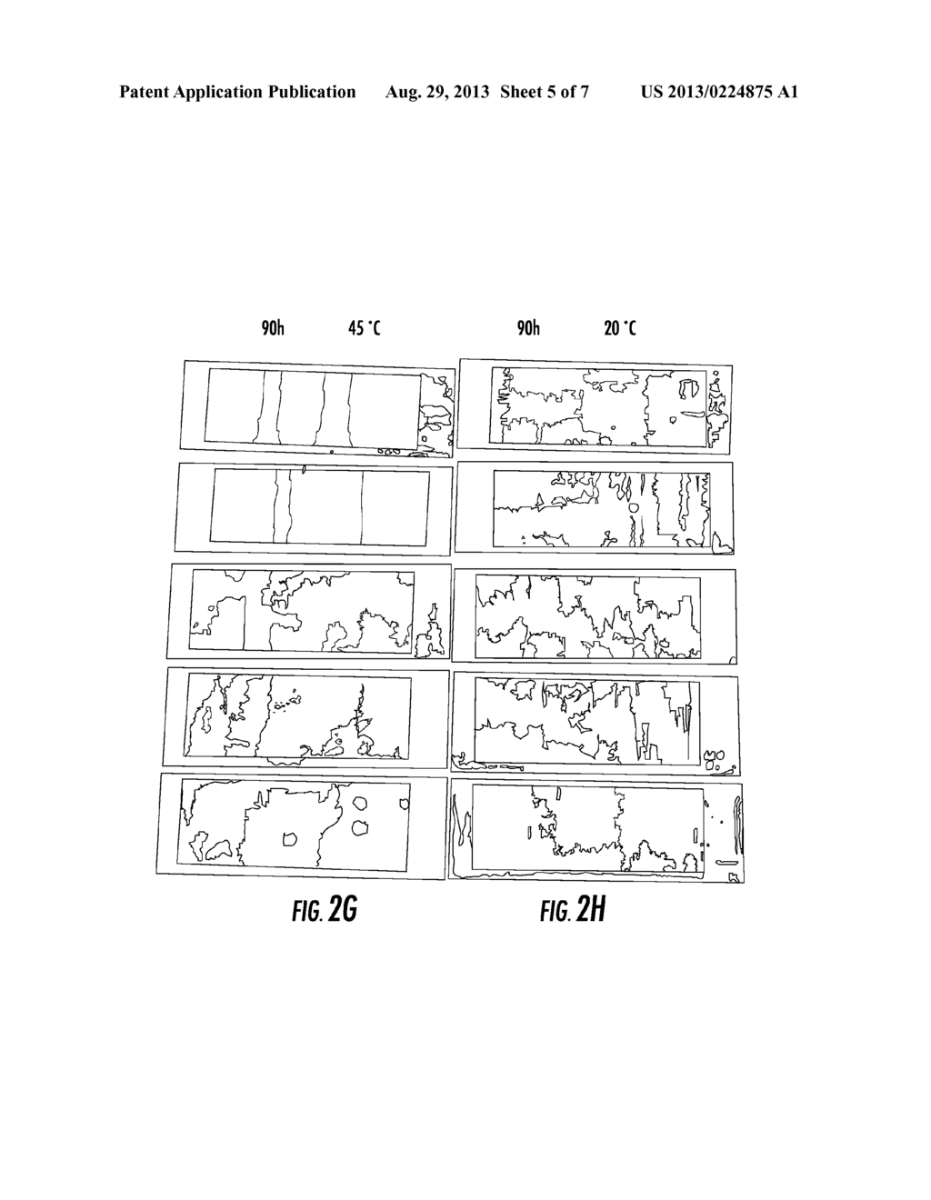 TIME-TEMPERATURE INDICATING DEVICE - diagram, schematic, and image 06