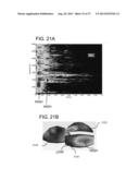 GOLF CLUB HEADS WITH IMPROVED SOUND CHARACTERISTICS diagram and image