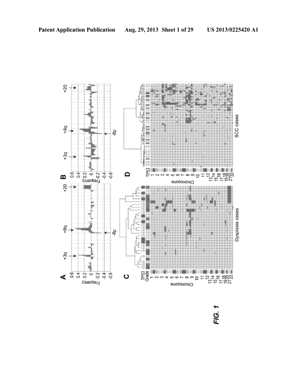 MOLECULAR SUBTYPING OF ORAL SQUAMOUS CELL CARCINOMA TO DISTINGUISH A     SUBTYPE THAT IS UNLIKELY TO METASTASIZE - diagram, schematic, and image 02