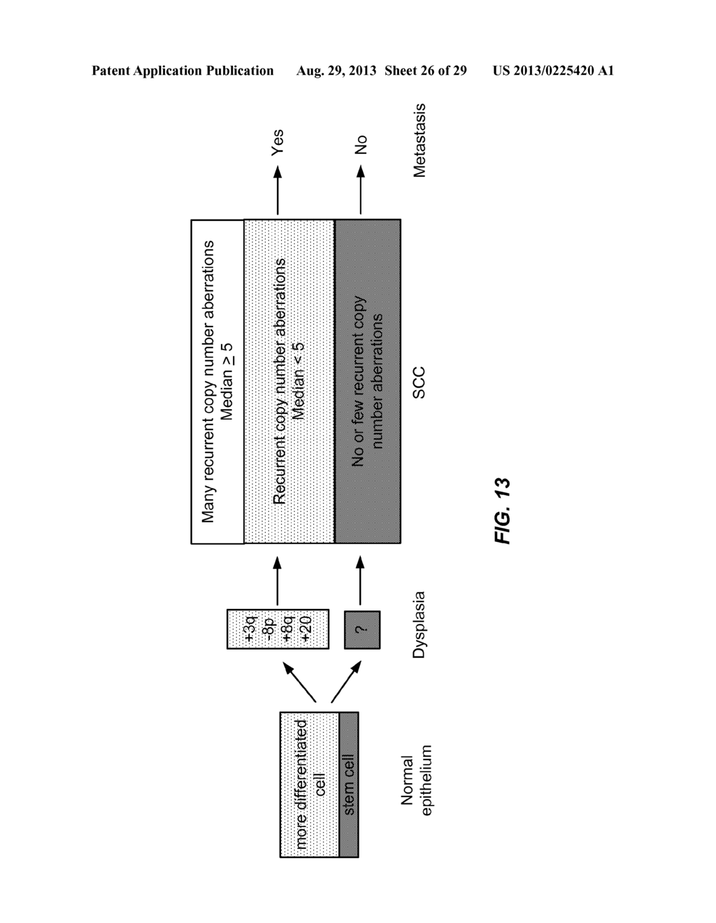 MOLECULAR SUBTYPING OF ORAL SQUAMOUS CELL CARCINOMA TO DISTINGUISH A     SUBTYPE THAT IS UNLIKELY TO METASTASIZE - diagram, schematic, and image 27