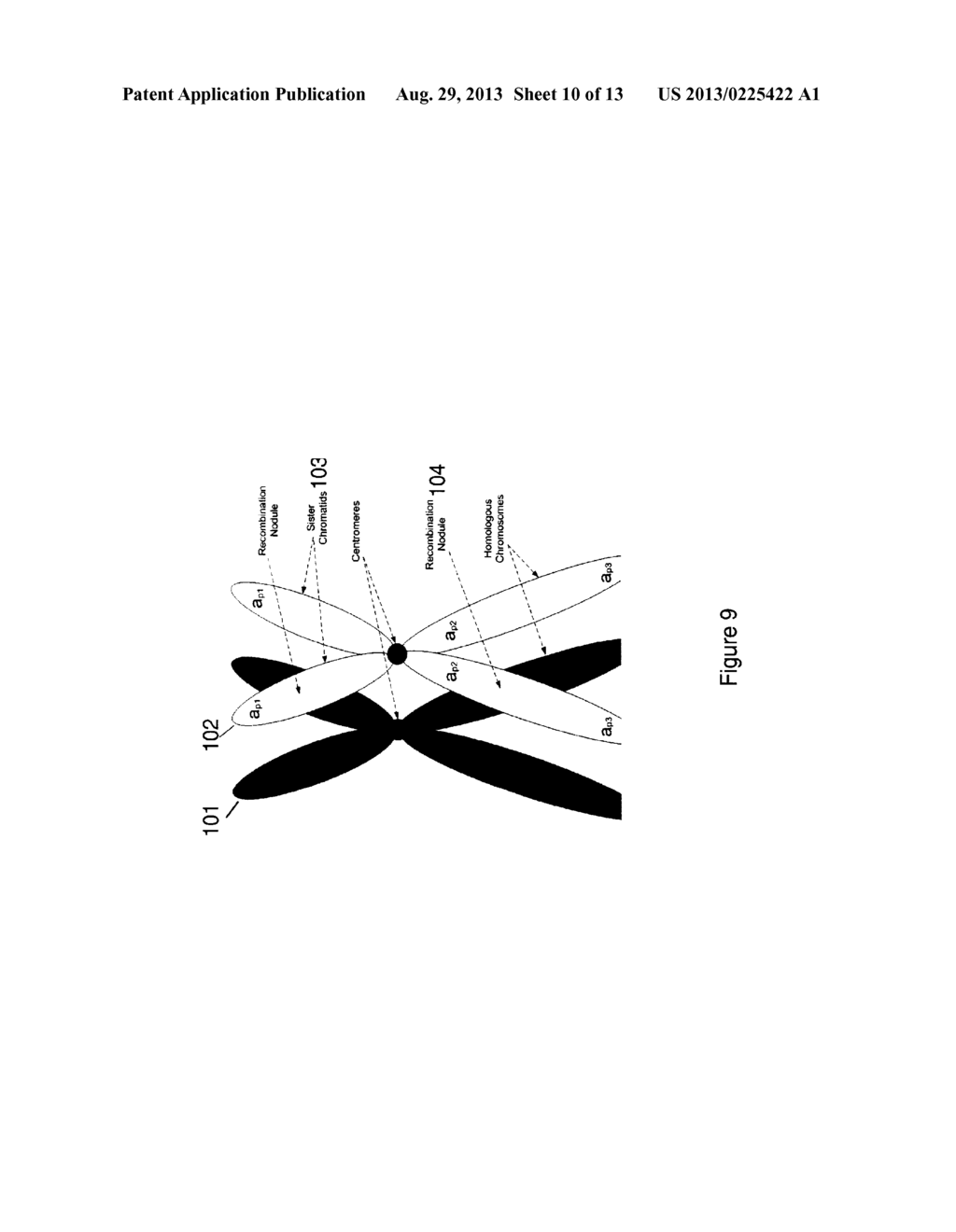 METHODS FOR ALLELE CALLING AND PLOIDY CALLING - diagram, schematic, and image 11