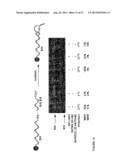 REACTIVITY-DEPENDENT AND INTERACTION-DEPENDENT PCR diagram and image