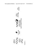 REACTIVITY-DEPENDENT AND INTERACTION-DEPENDENT PCR diagram and image