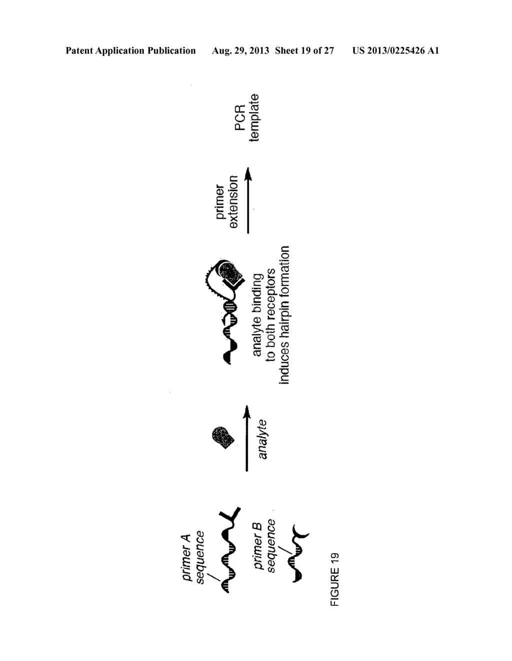 REACTIVITY-DEPENDENT AND INTERACTION-DEPENDENT PCR - diagram, schematic, and image 20