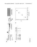 REACTIVITY-DEPENDENT AND INTERACTION-DEPENDENT PCR diagram and image