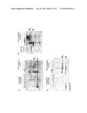 REACTIVITY-DEPENDENT AND INTERACTION-DEPENDENT PCR diagram and image