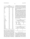 REACTIVITY-DEPENDENT AND INTERACTION-DEPENDENT PCR diagram and image