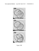 ASSESSMENT OF CELLULAR FRAGMENTATION DYNAMICS FOR DETECTION OF HUMAN     EMBRYONIC ANEUPLOIDY diagram and image