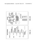 SOLUTION-BASED METHODS FOR RNA EXPRESSION PROFILING diagram and image