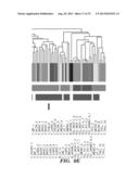 SOLUTION-BASED METHODS FOR RNA EXPRESSION PROFILING diagram and image