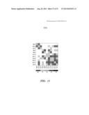 SOLUTION-BASED METHODS FOR RNA EXPRESSION PROFILING diagram and image