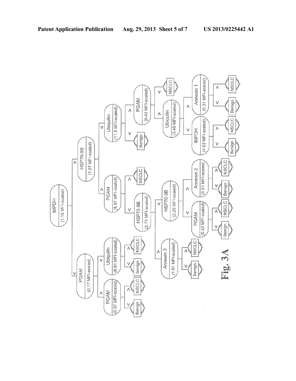 Lung Cancer Tests - diagram, schematic, and image 06