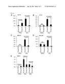 METHOD OF EXAMINING POLYCYSTIC KIDNEY DISEASE AND METHOD OF SCREENING FOR     THERAPEUTIC AGENT OF THE DISEASE diagram and image