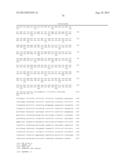 METHOD OF EXAMINING POLYCYSTIC KIDNEY DISEASE AND METHOD OF SCREENING FOR     THERAPEUTIC AGENT OF THE DISEASE diagram and image