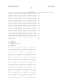 METHOD OF EXAMINING POLYCYSTIC KIDNEY DISEASE AND METHOD OF SCREENING FOR     THERAPEUTIC AGENT OF THE DISEASE diagram and image