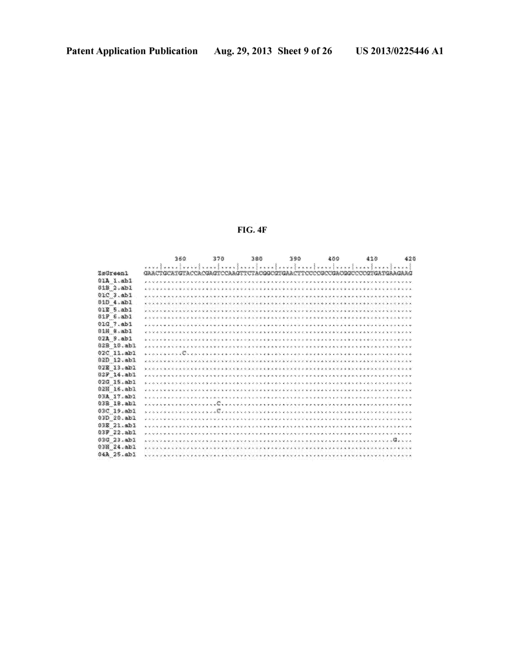 RNA-MEDIATED GENE ASSEMBLY FROM DNA OLIGONUCLEOTIDES - diagram, schematic, and image 10