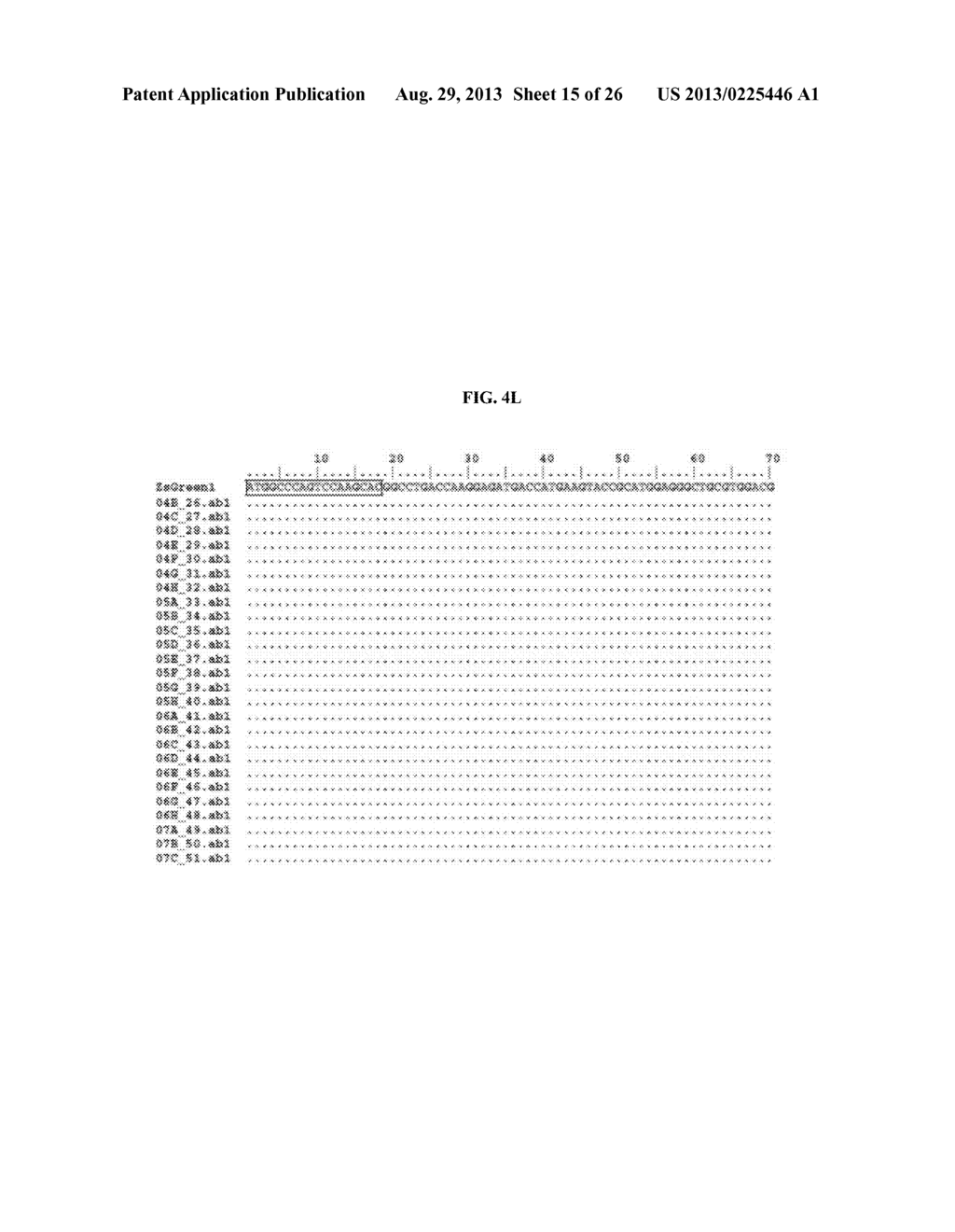 RNA-MEDIATED GENE ASSEMBLY FROM DNA OLIGONUCLEOTIDES - diagram, schematic, and image 16