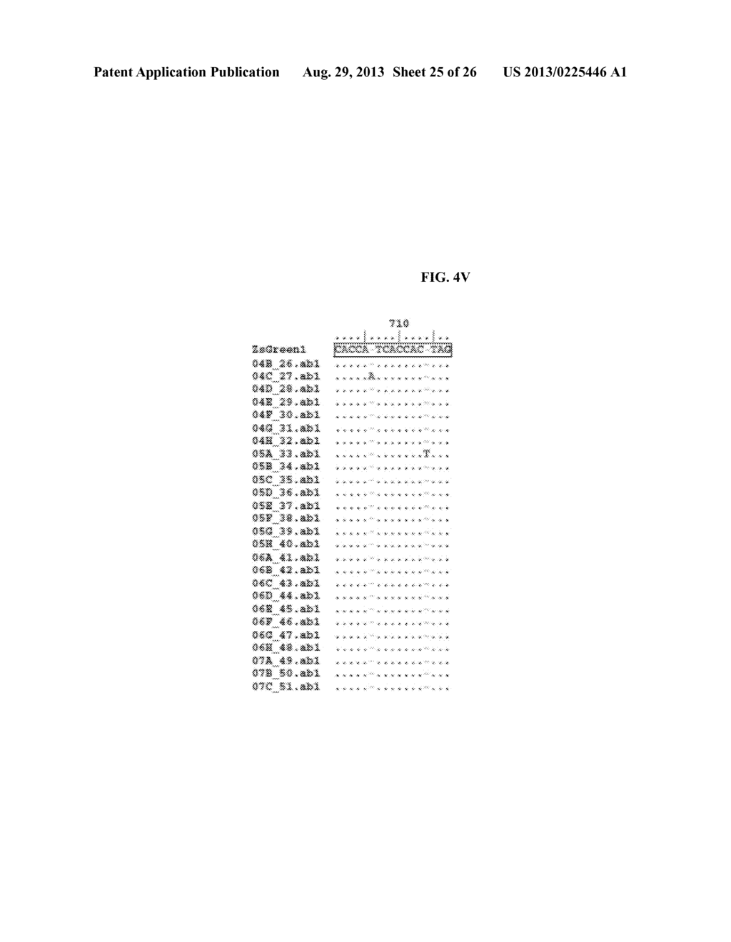 RNA-MEDIATED GENE ASSEMBLY FROM DNA OLIGONUCLEOTIDES - diagram, schematic, and image 26