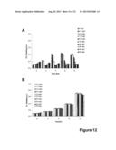 ANTIMICROBIAL PEPTIDES diagram and image