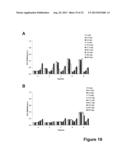 ANTIMICROBIAL PEPTIDES diagram and image