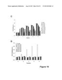 ANTIMICROBIAL PEPTIDES diagram and image