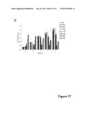 ANTIMICROBIAL PEPTIDES diagram and image