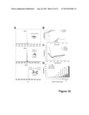 ANTIMICROBIAL PEPTIDES diagram and image