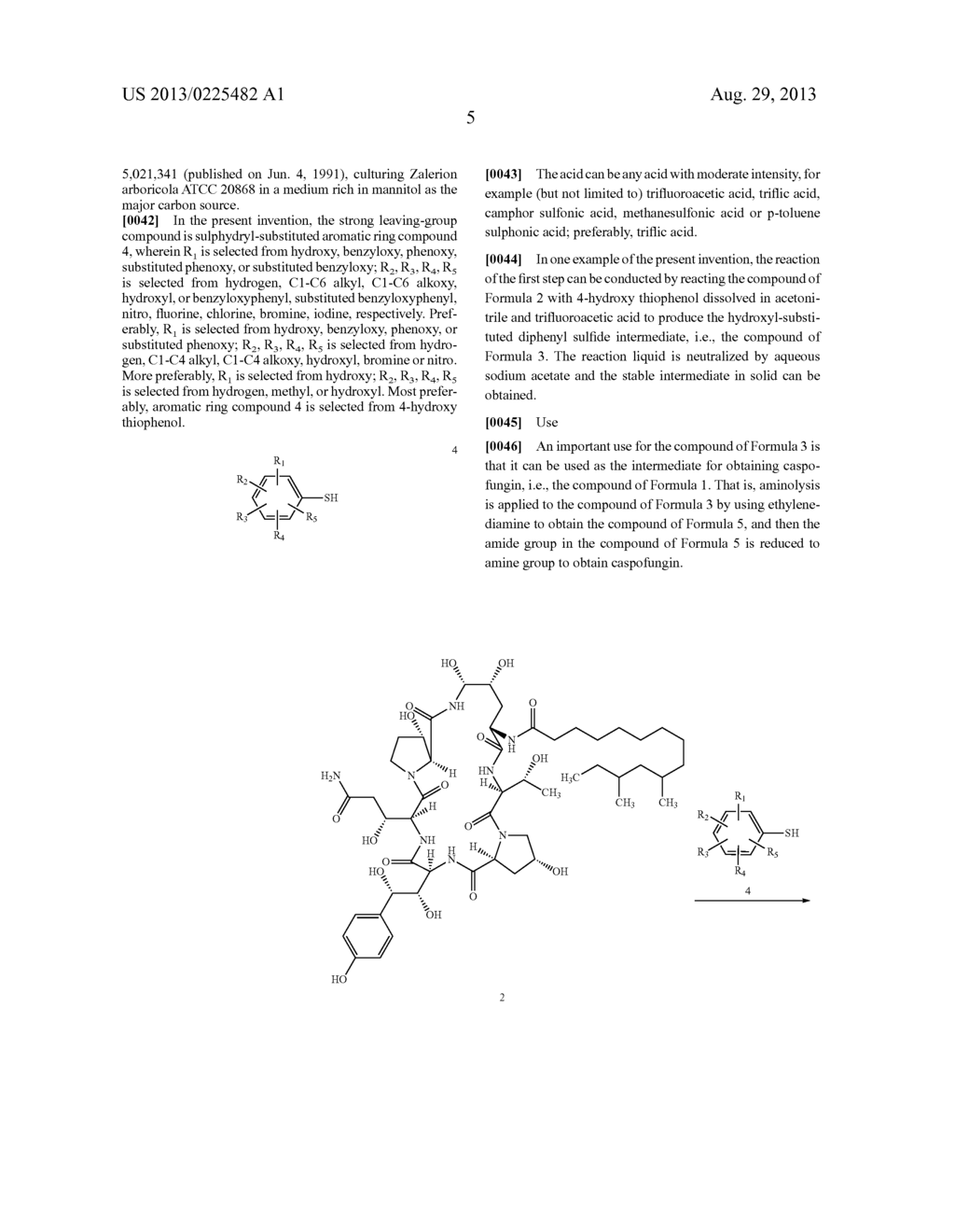 CASPOFUNGIN ANALOG, AND PREPARATION METHOD AND USES THEREOF - diagram, schematic, and image 06