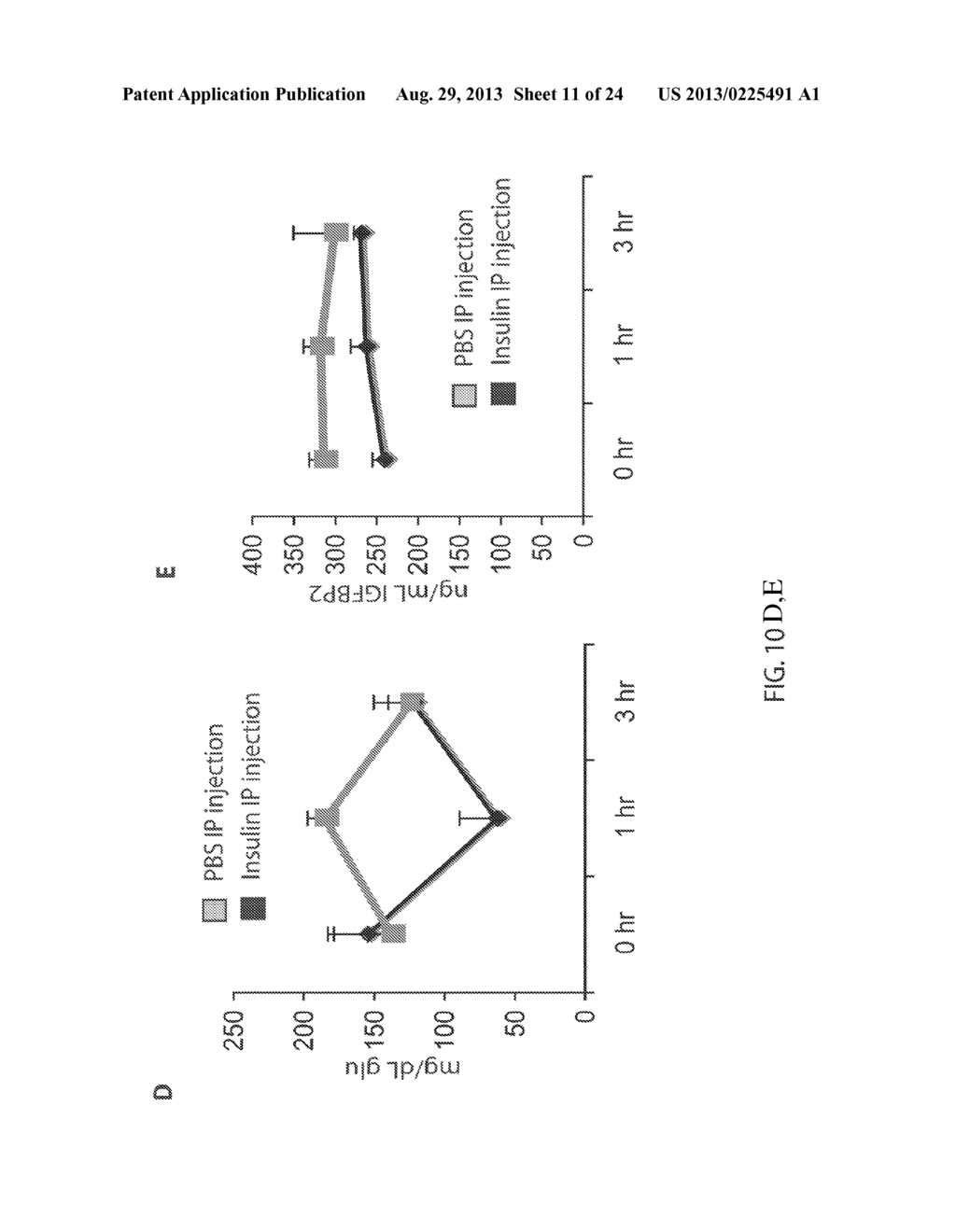 Methods and Kits for Treating Disease By Administering Insulin-Like Growth     Factor Binding Protein-2 - diagram, schematic, and image 12
