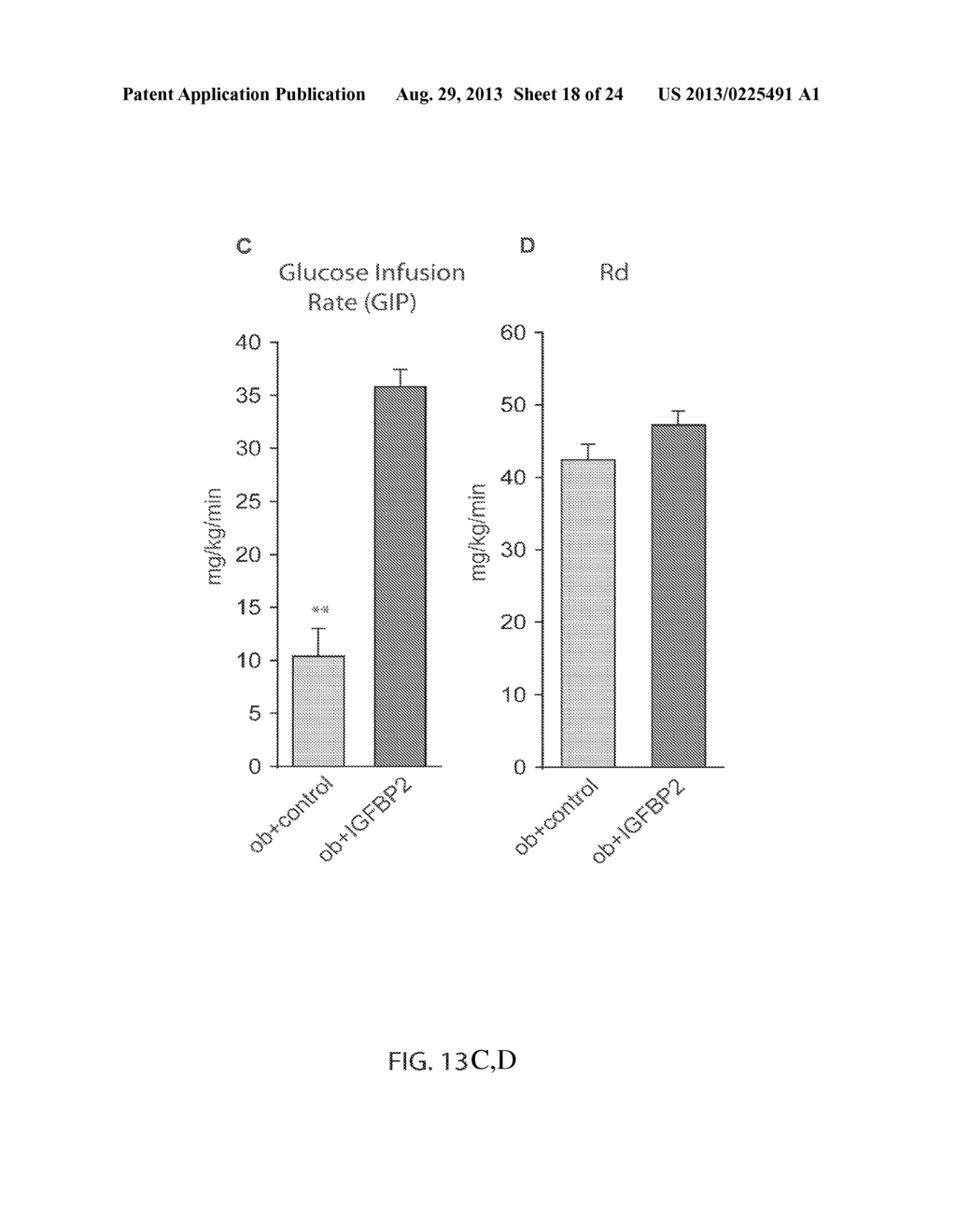 Methods and Kits for Treating Disease By Administering Insulin-Like Growth     Factor Binding Protein-2 - diagram, schematic, and image 19