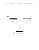 Albumin Variants diagram and image