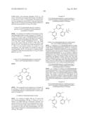 Phosphorus Derivatives as Kinase Inhibitors diagram and image