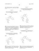 Phosphorus Derivatives as Kinase Inhibitors diagram and image