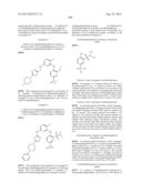 Phosphorus Derivatives as Kinase Inhibitors diagram and image