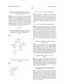 Phosphorus Derivatives as Kinase Inhibitors diagram and image