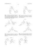 Phosphorus Derivatives as Kinase Inhibitors diagram and image