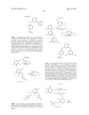 Phosphorus Derivatives as Kinase Inhibitors diagram and image