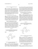 Phosphorus Derivatives as Kinase Inhibitors diagram and image