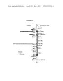 SUPPRESSION OF GLIAL FIBRILLARY ACIDIC PROTEIN diagram and image