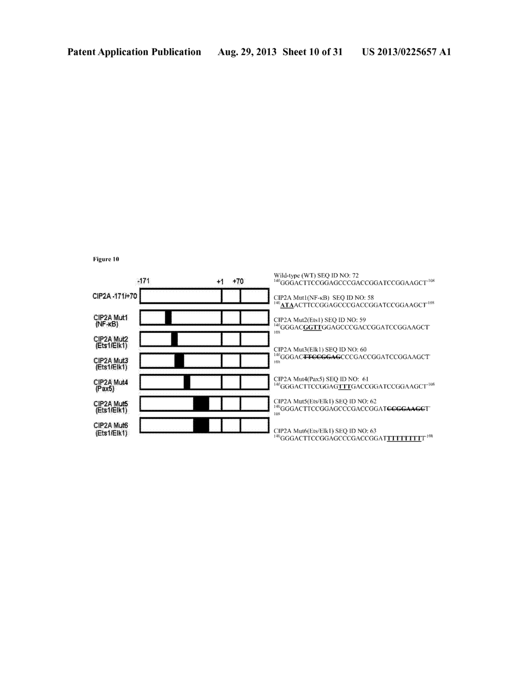 SiRNA TARGETING ETS1 AND ELK1 AND METHOD OF USING SAME IN THE INHIBITION     OF CIP2A GENE IN CANCER TREATMENT - diagram, schematic, and image 11