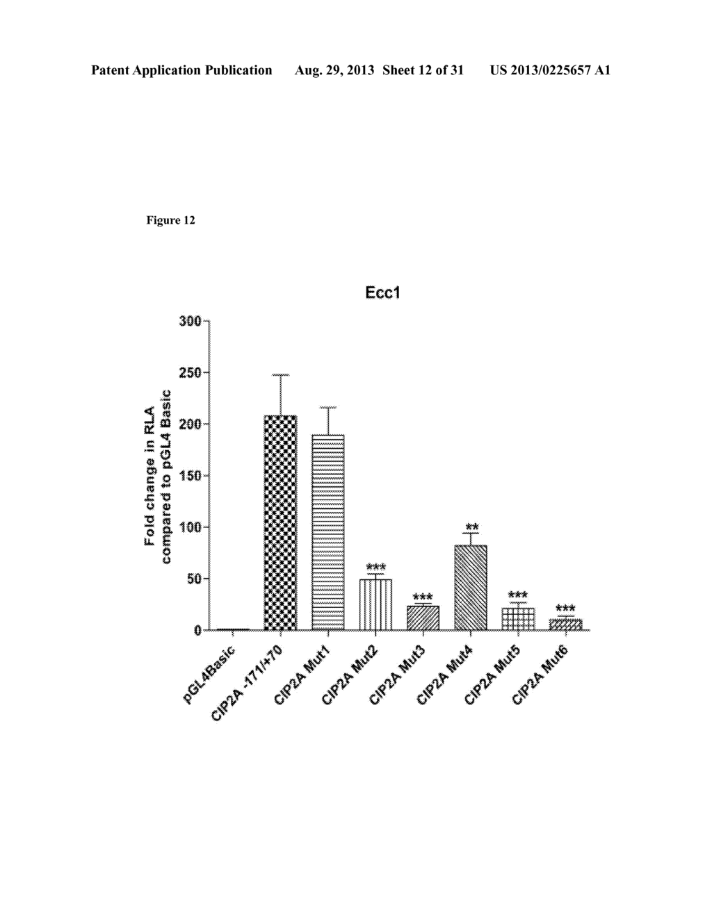 SiRNA TARGETING ETS1 AND ELK1 AND METHOD OF USING SAME IN THE INHIBITION     OF CIP2A GENE IN CANCER TREATMENT - diagram, schematic, and image 13