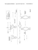 COMPOSITIONS AND METHODS FOR SPECIFIC CLEAVAGE OF EXOGENOUS RNA IN A CELL diagram and image