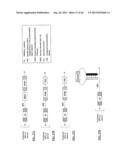 COMPOSITIONS AND METHODS FOR SPECIFIC CLEAVAGE OF EXOGENOUS RNA IN A CELL diagram and image