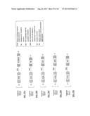 COMPOSITIONS AND METHODS FOR SPECIFIC CLEAVAGE OF EXOGENOUS RNA IN A CELL diagram and image