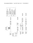 COMPOSITIONS AND METHODS FOR SPECIFIC CLEAVAGE OF EXOGENOUS RNA IN A CELL diagram and image