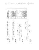 COMPOSITIONS AND METHODS FOR SPECIFIC CLEAVAGE OF EXOGENOUS RNA IN A CELL diagram and image