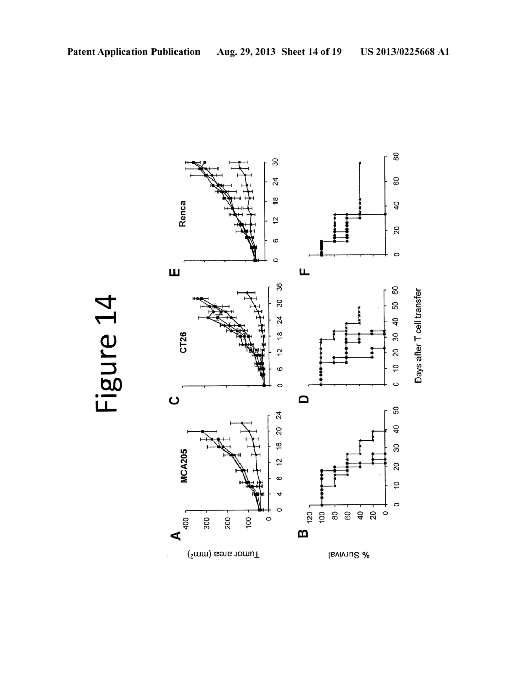 ANTI-VASCULAR ENDOTHELIAL GROWTH FACTOR RECEPTOR-2 CHIMERIC ANTIGEN     RECEPTORS AND USE OF SAME FOR THE TREATMENT OF CANCER - diagram, schematic, and image 15